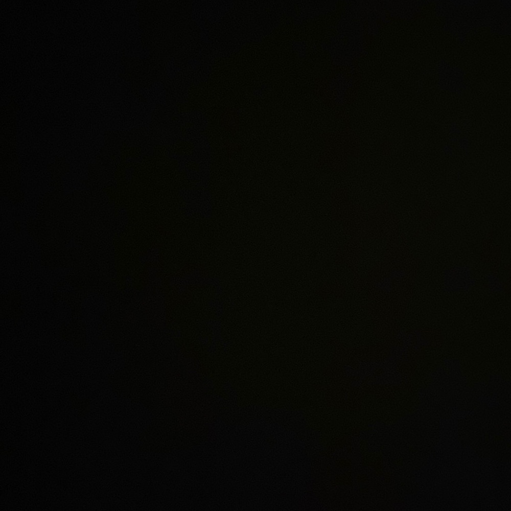 Meet your Posher, Daniella